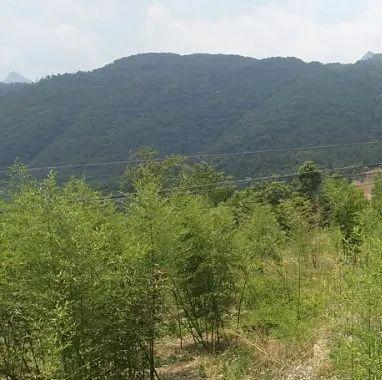 安逸四川 乐游绵阳 ‖ 工矿马角，山水清沟——江油市马角镇