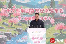 连云港市海州桃花涧花朝季暨数字文旅发布会盛大开幕图片