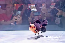 “福鱼”三问——从渔博会看福州金鱼产业发展图片