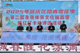 延庆发布春日打卡攻略，花海景观全域绽放图片