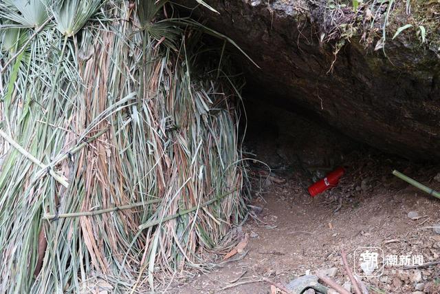 一场摸索于山野、流量与规则之间的“荒野求生”