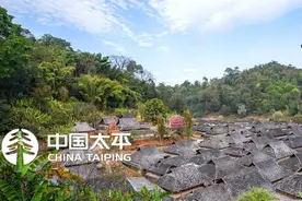早知天下事图片