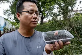 众目睽睽之下，广州男子一下放飞了30万只蚊子！图片