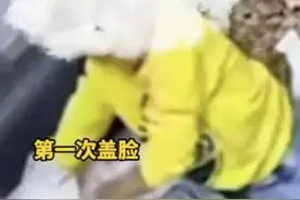 太可怕！2岁男孩用枕巾捂妹妹脸，监控曝光惊险一幕...图片