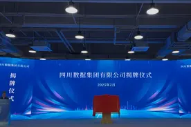 引领数字经济新飞跃 四川数据集团有限公司正式揭牌图片