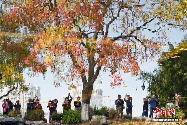 秋景迷人眼 南京莫愁湖色彩斑斓诗意浓