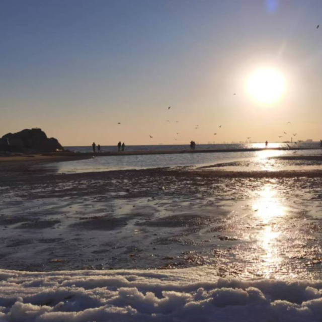 一起出发，从北京坐着火车去看海鸥！