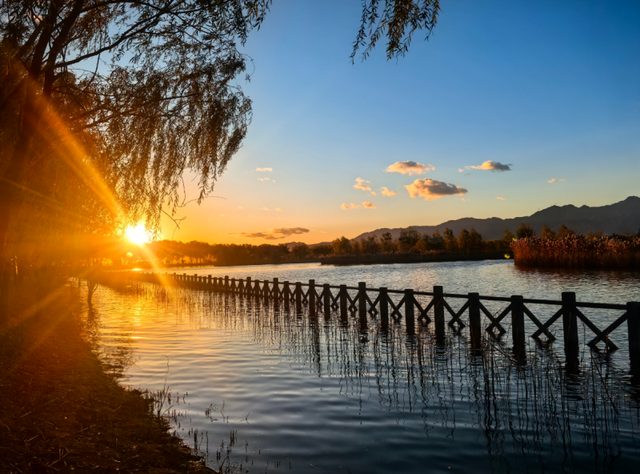 落霞与孤鹜齐飞，野鸭湖湿地再现中国式浪漫意境