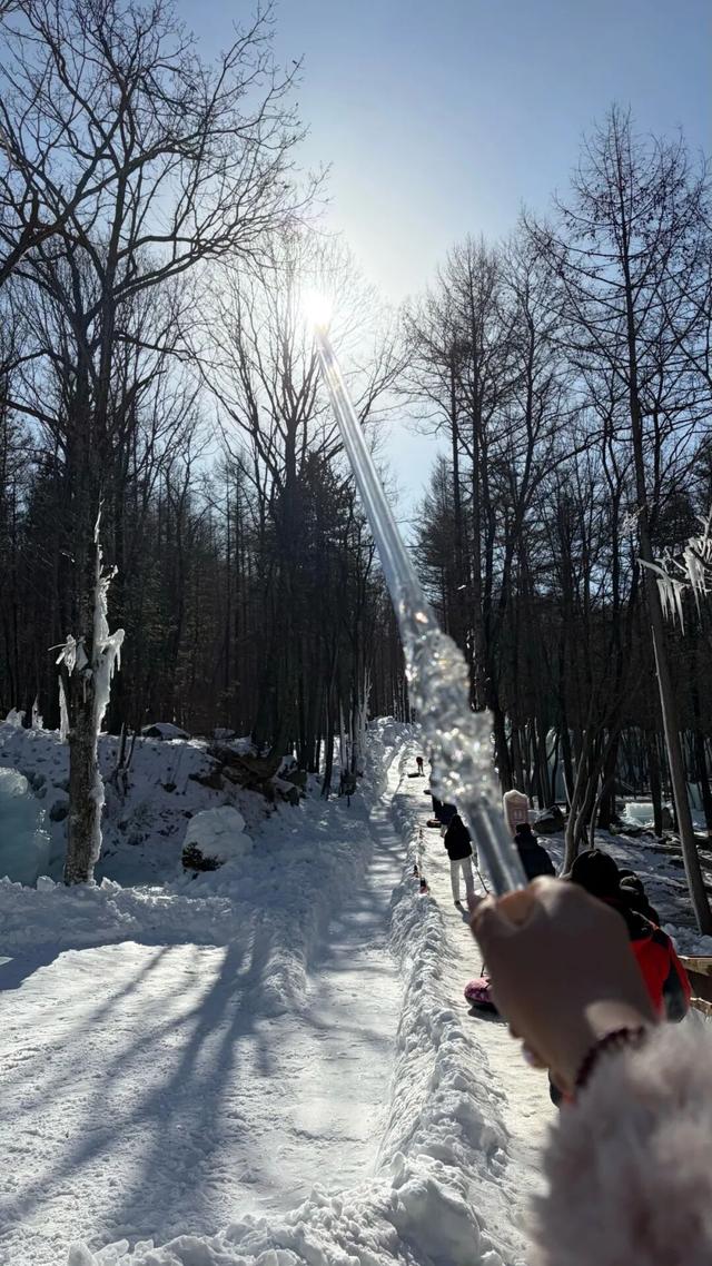 免费申领！白云山冰雪仙境邀您花式玩儿雪！
