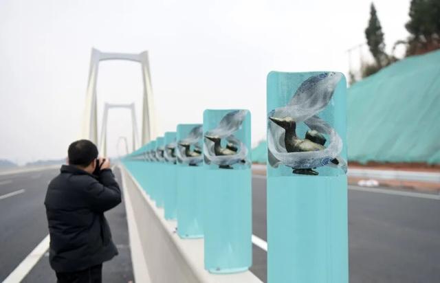 成南高速，一条流动的文化长廊