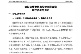 首份新版招股书来了 达梦数据拟募资23.51亿元图片