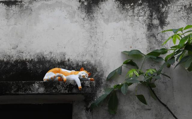 光明本土原创人文纪录片摘得国内纪录片最高奖