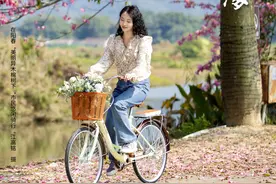 晨观山海 | 动感积木掘金海外“双11”图片
