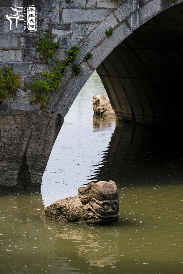 秦淮citywalk｜七桥瓮湿地公园