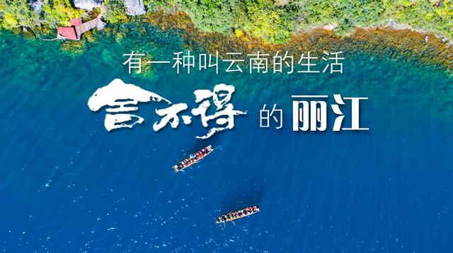 一池睡莲次第开 千娇百媚入画来丨有一种叫云南的生活之365天