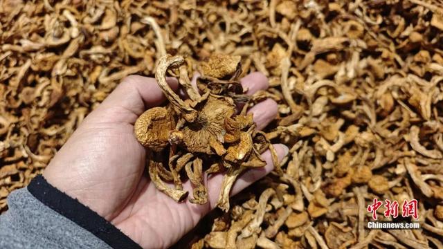 人这一辈子，一定要去这里看看两亿年前的地质封印！
