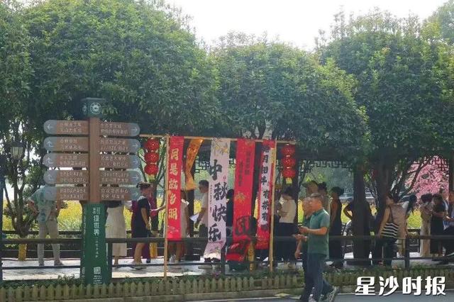 火出圈！星沙，2832500！