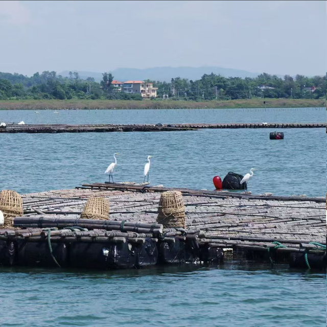 跟着赛事去旅行 | 中越界河风景区：走进自然与城市和谐共生的美丽画卷