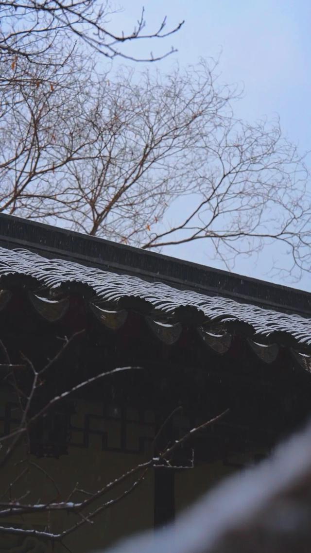 定格浪漫！吴江初雪美景图鉴！