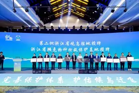 浙江已公布22处观鸟胜地，多种珍稀鸟类首次被观测记录图片