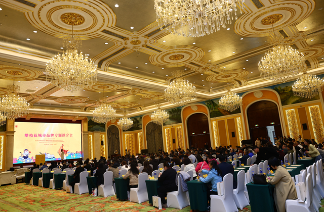 跨城奔赴！攀枝花向长春递出 “阳光康养邀请函”