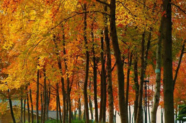 在千岛湖，这5公里要慢行！