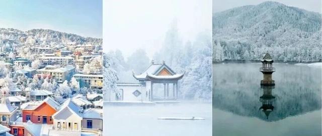 杉树红了！江西这些地方拍“红杉”大片超赞