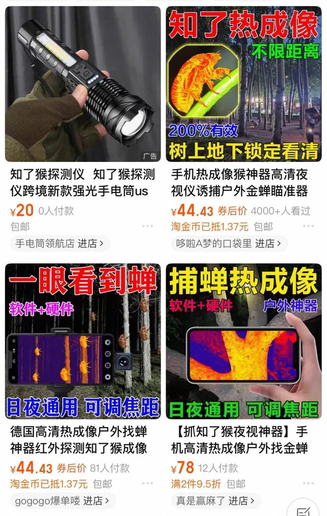 180元/斤的知了猴，快被山东人薅没了