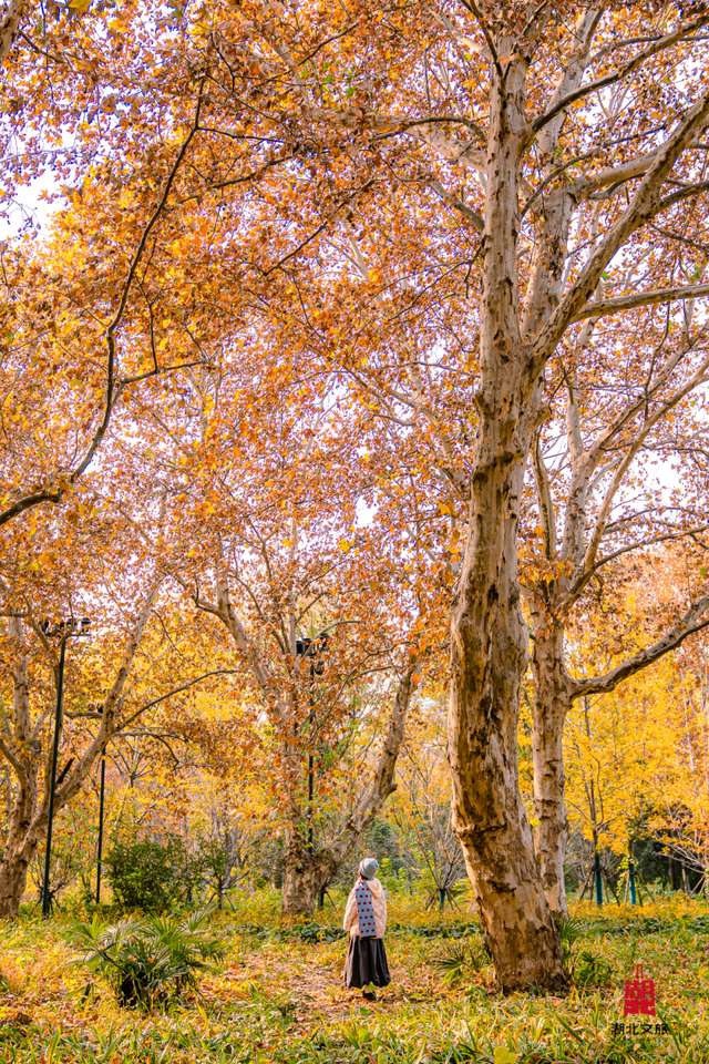 寒潮倒计时！再不来就迟了