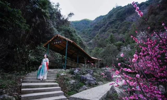 12月1日起，红山谷景区免门票3个月!