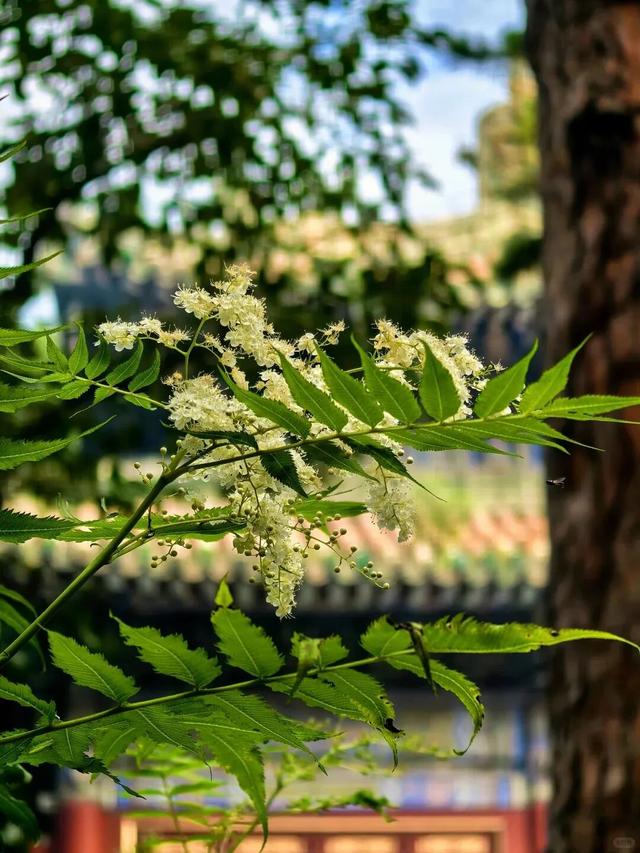 北京景区上新！“京西阿勒泰”来了 | 周末京郊微度假