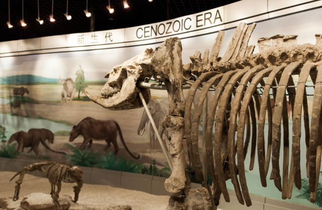 官方推荐16条南京春季亲子研学旅游线路