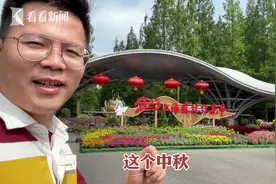 几百只孔雀放飞见过吗？来东平国家森林公园就有图片