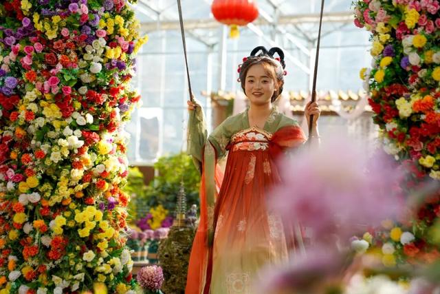 图说定西 | 深秋和菊花的浪漫邂逅