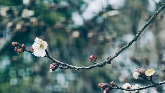 盐城春节活动第一波上新！