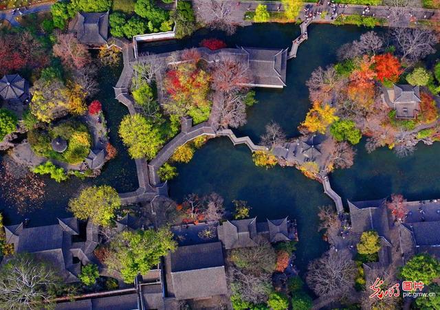 苏州拙政园色彩斑斓冬景美