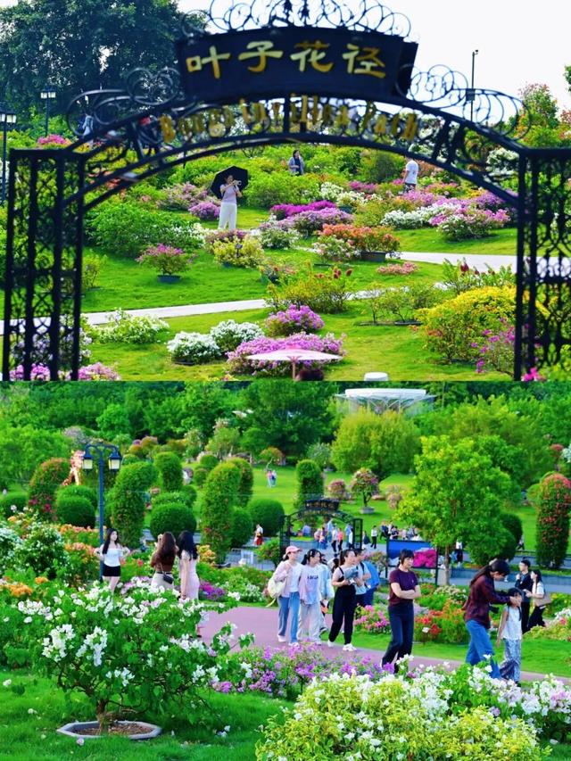 跟着节气来打卡 | 今日立冬，美好正当时！来南宁收藏一帧初冬的浪漫画卷