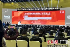 蜀南文旅在中国旅游休娱产业发展大会分享经验图片