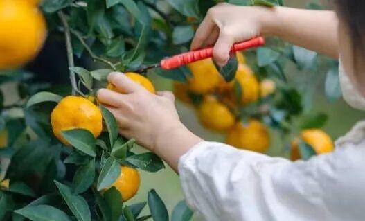 抓住杭州秋天的尾巴，我们和听友在建德度过了一个完美的周末！