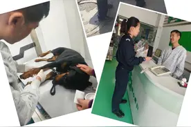 警犬基地的“姐妹花”训导员图片