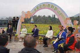 花田喜事！雅安首次把新闻发布会开到了油菜花田里图片