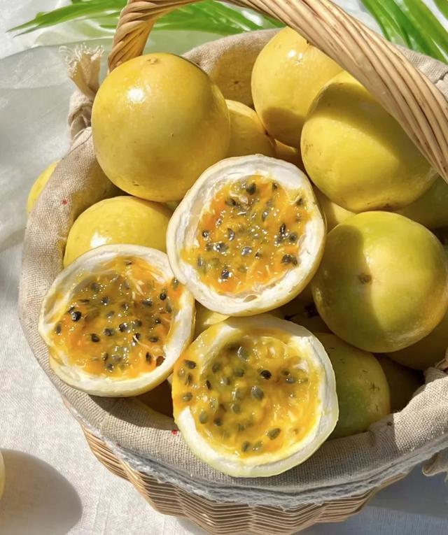 新华社携手董宇辉,走进广西的蔚蓝海岸……