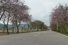 清远佛冈龙山镇：“五步走”擘画新时代“富‘村’山居图”图片