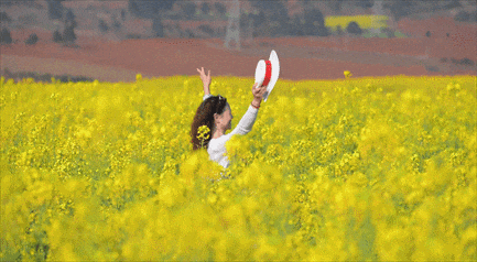 弥勒千亩油菜花海，太出片啦
