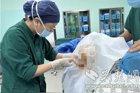 105岁老人股骨骨折 襄阳市中心医院勇闯“高龄禁区”图片