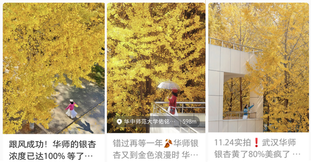 限时绝美！年度顶流！