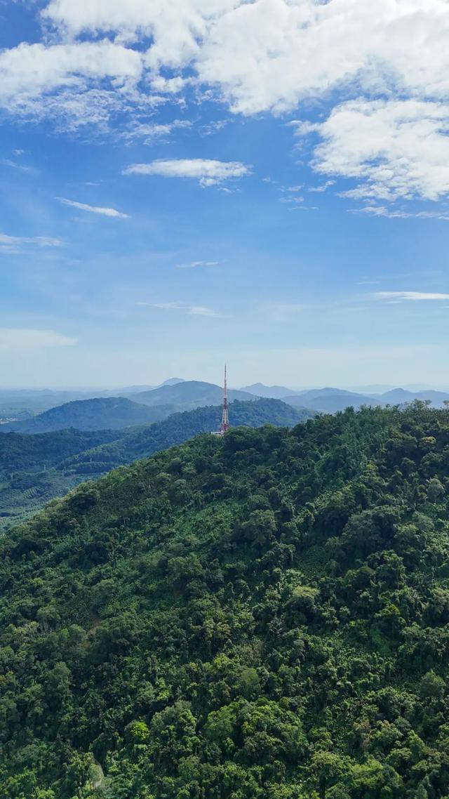 图观白沙 | 白沙山城的绿意秘境