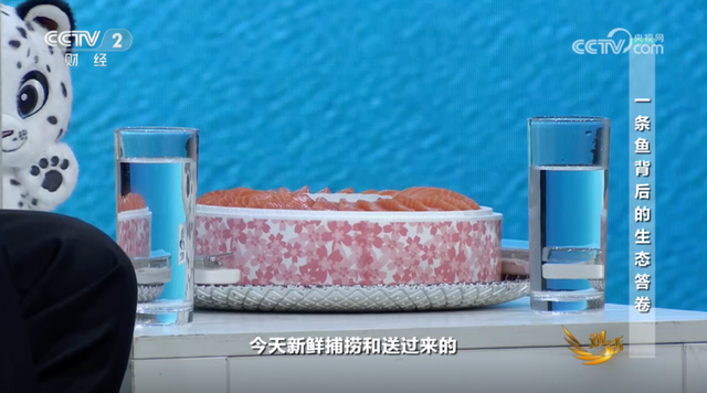青海省省长：“有的同事回答了一些，但我觉得不全面”