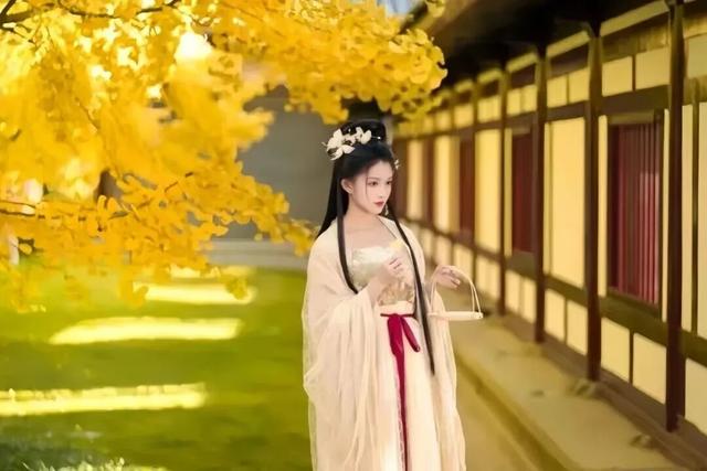 西安上新！高颜值秋景，正在加载！