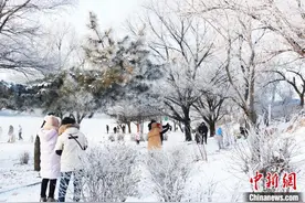 （神州写真）中国冰雪文旅迎奇景 吉林雾凇解锁“流量密码”图片